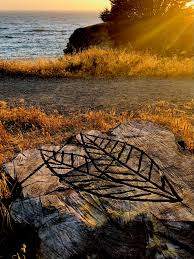 Menciptakan Kebiasaan Luar Ruangan yang Membawa Rasa Damai